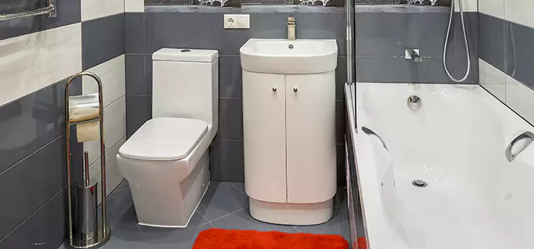 Hansgrohe Shaving Mirror Battle Creek